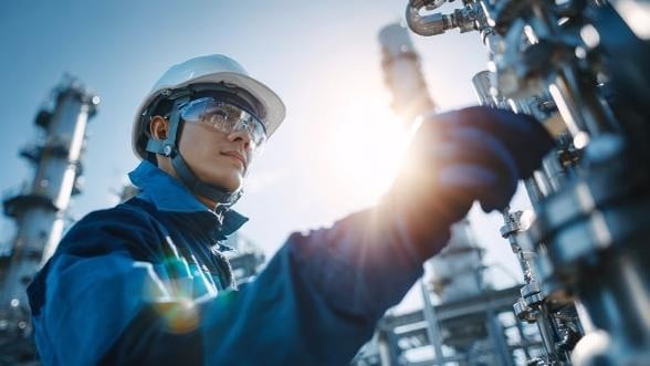 procesbeheer & onderhoud