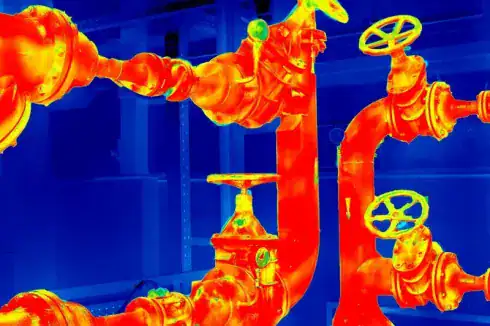steam audit